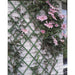 Nature Gard de grădină tip Trellis, 100 x 200 cm PVC, verde, 6040704 thumbnail 2