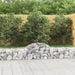 Coșuri gabion arcuite 6 buc, 200x30x40/60 cm, fier galvanizat thumbnail 1