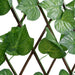 Spalier frunze struguri false extensibil 5 buc verde 180x20 cm thumbnail 5