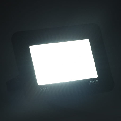 Proiector cu LED, 30 W, alb rece , 2 - homenest.ro
